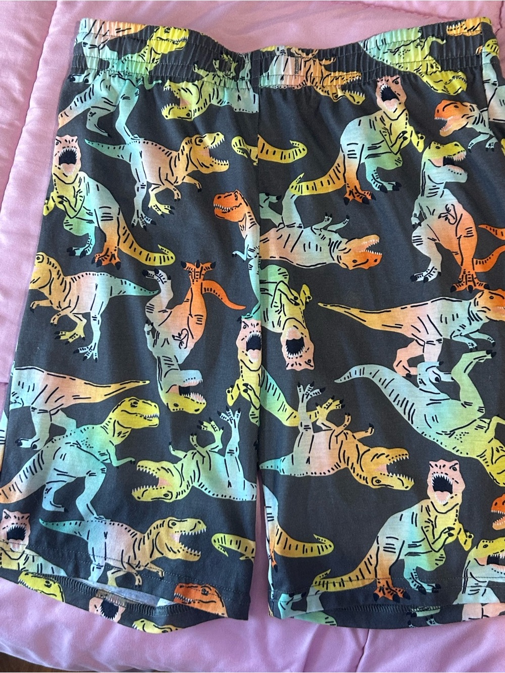 Kids' Multicolor Dinosaur Pajama Shorts NWOT